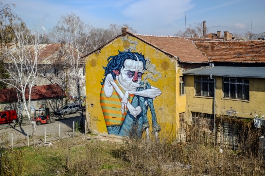 Mural, warehouse, Poduyane quarter, Sofia, Bulgaria, 2016. FujiX100 w/1.4x tele converter. Click on image to enlarge.