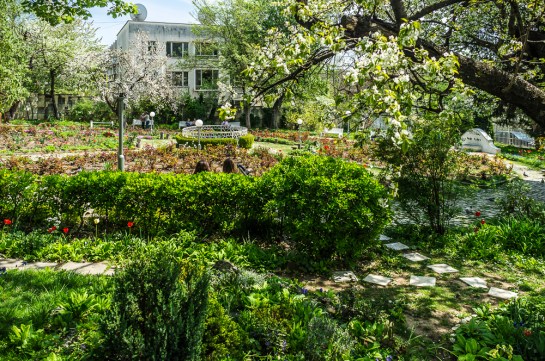 Garden of the followers of Deunov, Izgrev quarter, Sofia, Bulgaria, late April, 2015. Fuji X100 with -1.4 wide angle converter. Click to Enlarge.