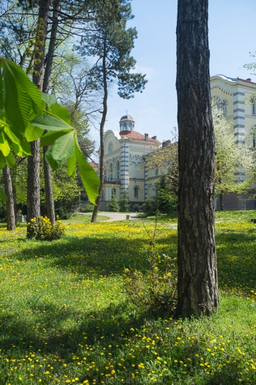 Garden of the Seminary of the Bulgarian Orthodox Church, Lozenets quarter, Sofia, Bulgaria, late April, 2015. Fuji X100 with -1.4 wide angle converter. Click to Enlarge.